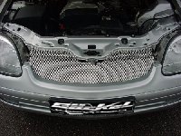 Alu-Formgitter-SLK-R170_1.jpg